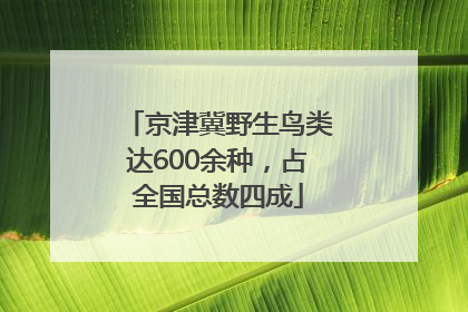 京津冀野生鸟类达600余种，占全国总数四成