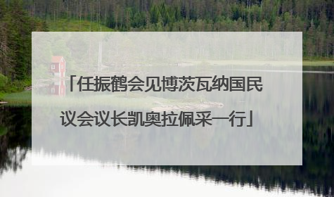 任振鹤会见博茨瓦纳国民议会议长凯奥拉佩采一行