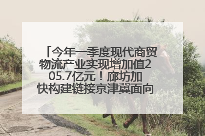 今年一季度现代商贸物流产业实现增加值205.7亿元！廊坊加快构建链接京津冀面向全世界的物流通道