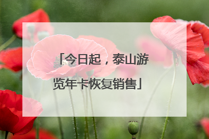 今日起，泰山游览年卡恢复销售