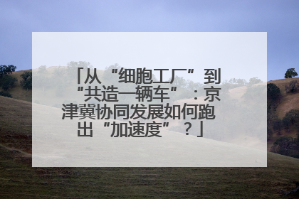 从“细胞工厂”到“共造一辆车”：京津冀协同发展如何跑出“加速度”？