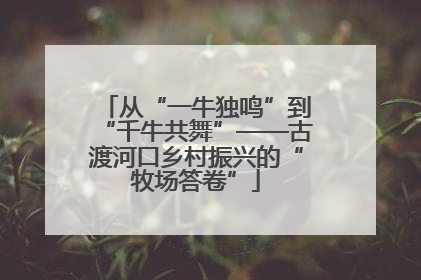 从“一牛独鸣”到“千牛共舞”——古渡河口乡村振兴的“牧场答卷”