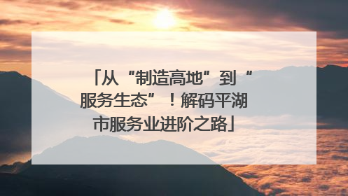 从“制造高地”到“服务生态”！解码平湖市服务业进阶之路