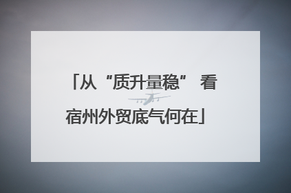 从“质升量稳” 看宿州外贸底气何在