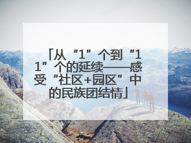 从“1”个到“11”个的延续——感受“社区+园区”中的民族团结情