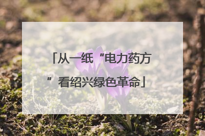 从一纸“电力药方”看绍兴绿色革命