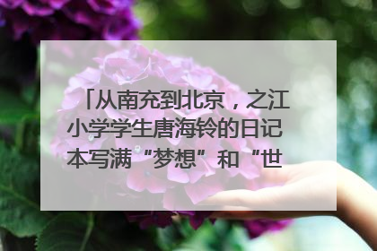 从南充到北京，之江小学学生唐海铃的日记本写满“梦想”和“世界”｜您牵挂的四川