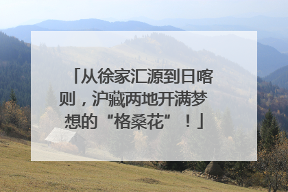 从徐家汇源到日喀则，沪藏两地开满梦想的“格桑花”！