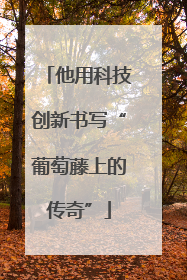 他用科技创新书写“葡萄藤上的传奇”