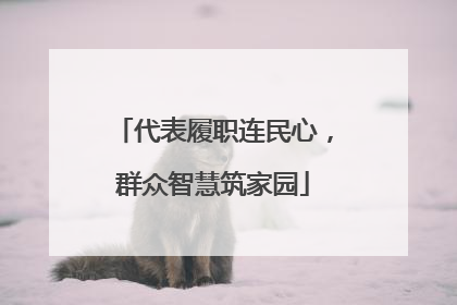 代表履职连民心，群众智慧筑家园