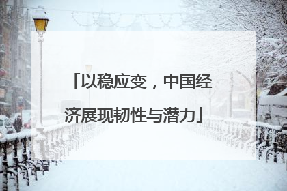 以稳应变，中国经济展现韧性与潜力