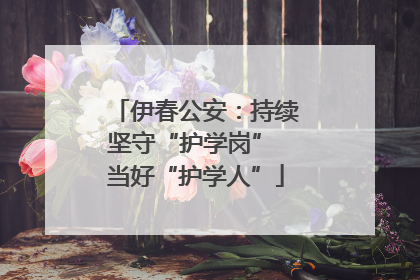 伊春公安：持续坚守“护学岗” 当好“护学人”