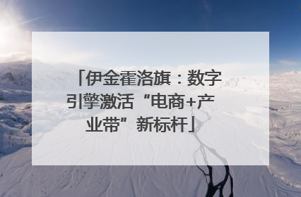 伊金霍洛旗：数字引擎激活“电商+产业带”新标杆