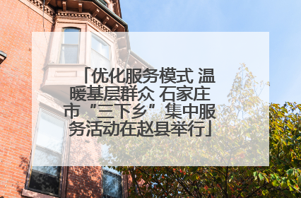 优化服务模式 温暖基层群众 石家庄市“三下乡”集中服务活动在赵县举行