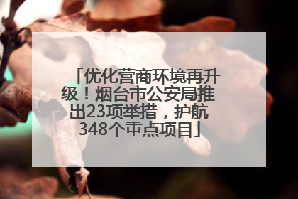 优化营商环境再升级！烟台市公安局推出23项举措，护航348个重点项目