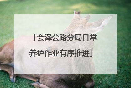 会泽公路分局日常养护作业有序推进