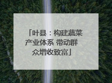 叶县：构建蔬菜产业体系 带动群众增收致富