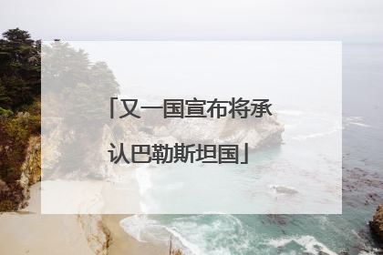 又一国宣布将承认巴勒斯坦国