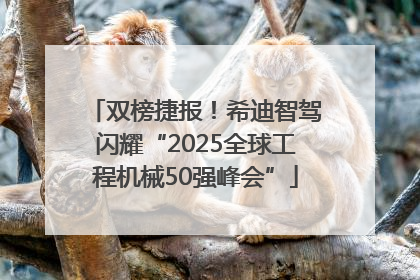 双榜捷报！希迪智驾闪耀“2025全球工程机械50强峰会”
