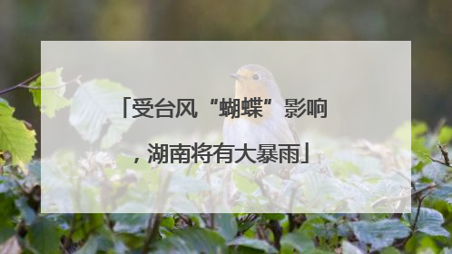 受台风“蝴蝶”影响，湖南将有大暴雨