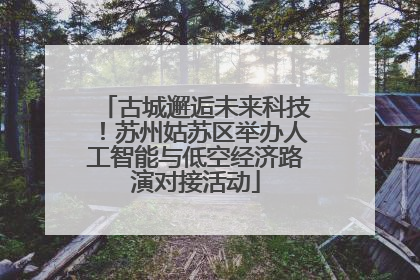 古城邂逅未来科技！苏州姑苏区举办人工智能与低空经济路演对接活动