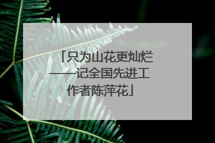只为山花更灿烂——记全国先进工作者陈萍花