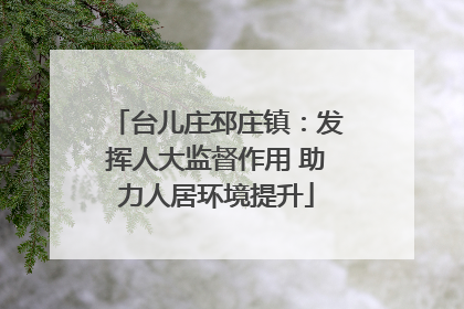台儿庄邳庄镇：发挥人大监督作用 助力人居环境提升