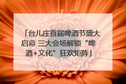 台儿庄首届啤酒节盛大启幕 三大会场解锁“啤酒+文化”狂欢矩阵