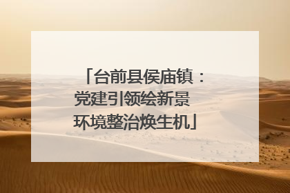 台前县侯庙镇：党建引领绘新景 环境整治焕生机