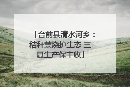 台前县清水河乡：秸秆禁烧护生态 三夏生产保丰收