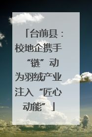 台前县：校地企携手“链”动 为羽绒产业注入“匠心动能”