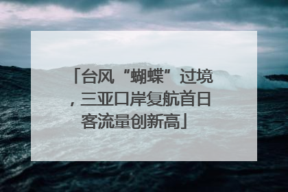 台风“蝴蝶”过境，三亚口岸复航首日客流量创新高