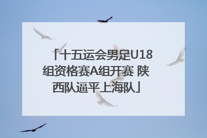 十五运会男足U18组资格赛A组开赛 陕西队逼平上海队