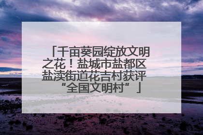 千亩葵园绽放文明之花！盐城市盐都区盐渎街道花吉村获评“全国文明村”