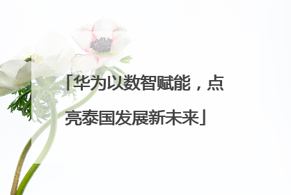华为以数智赋能，点亮泰国发展新未来