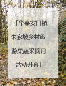 华亭安口镇朱家坡乡村旅游果蔬采摘月活动开幕