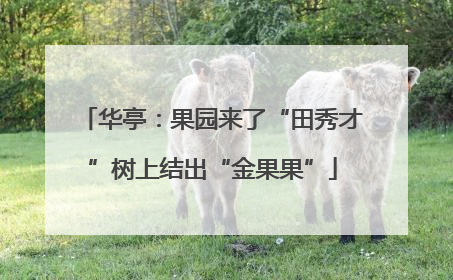 华亭：果园来了“田秀才”树上结出“金果果”