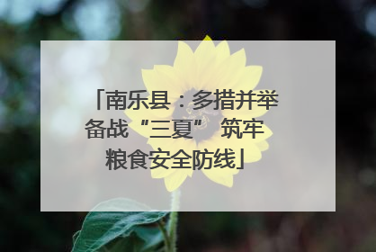 南乐县：多措并举备战“三夏” 筑牢粮食安全防线