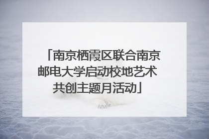 南京栖霞区联合南京邮电大学启动校地艺术共创主题月活动