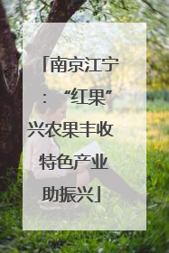 南京江宁：“红果”兴农果丰收 特色产业助振兴