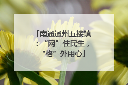 南通通州五接镇：“网”住民生，“格”外用心