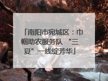 南阳市宛城区：巾帼助农服务队 “三夏”一线绽芳华