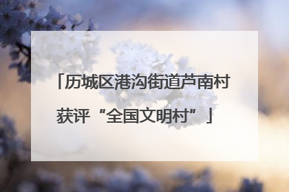 历城区港沟街道芦南村获评“全国文明村”