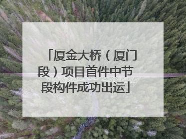 厦金大桥（厦门段）项目首件中节段构件成功出运