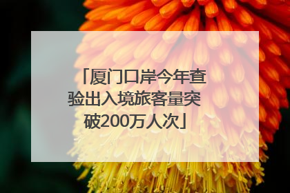 厦门口岸今年查验出入境旅客量突破200万人次