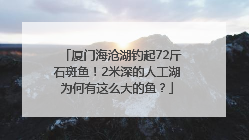 厦门海沧湖钓起72斤石斑鱼！2米深的人工湖为何有这么大的鱼？