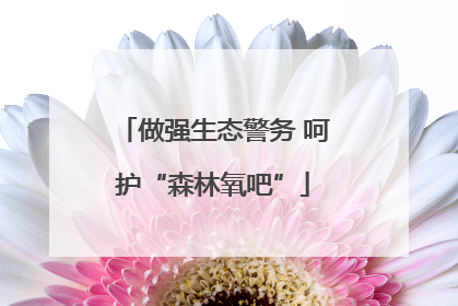 做强生态警务 呵护“森林氧吧”