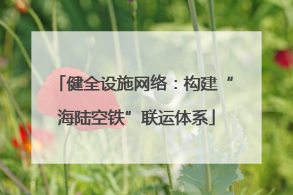 健全设施网络：构建“海陆空铁”联运体系