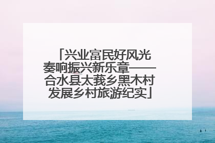 兴业富民好风光 奏响振兴新乐章——合水县太莪乡黑木村发展乡村旅游纪实