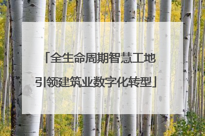 全生命周期智慧工地 引领建筑业数字化转型